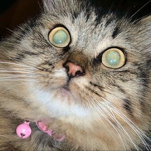 Meet your Posher, Jordyn